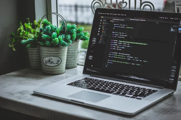 WordPress freelance specialist collaborating with a digital agency team on complex projects