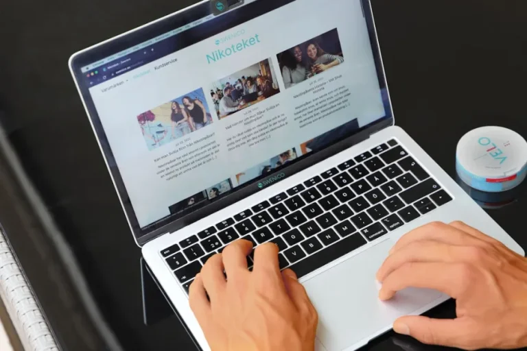 Step-by-step business website creation guide showing WordPress dashboard options