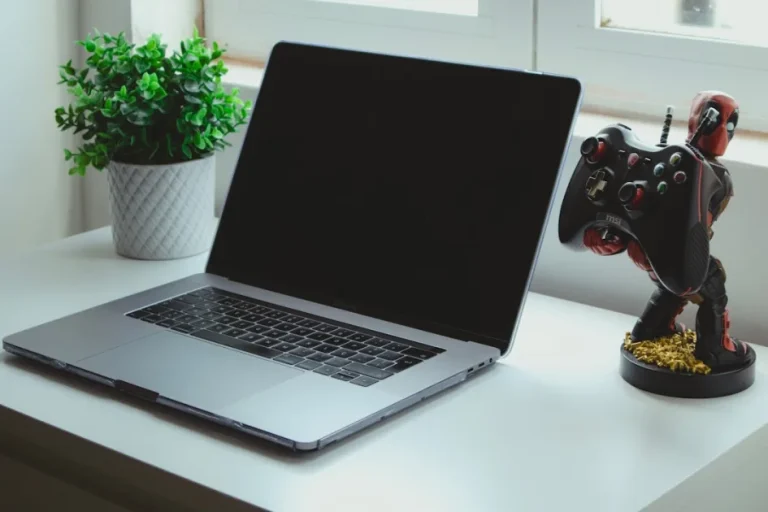 Agency manager reviewing a WordPress freelancer portfolio on a computer screen