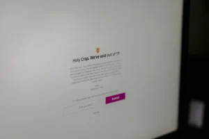 Developer diagnosing common WordPress errors on a laptop screen in a modern office