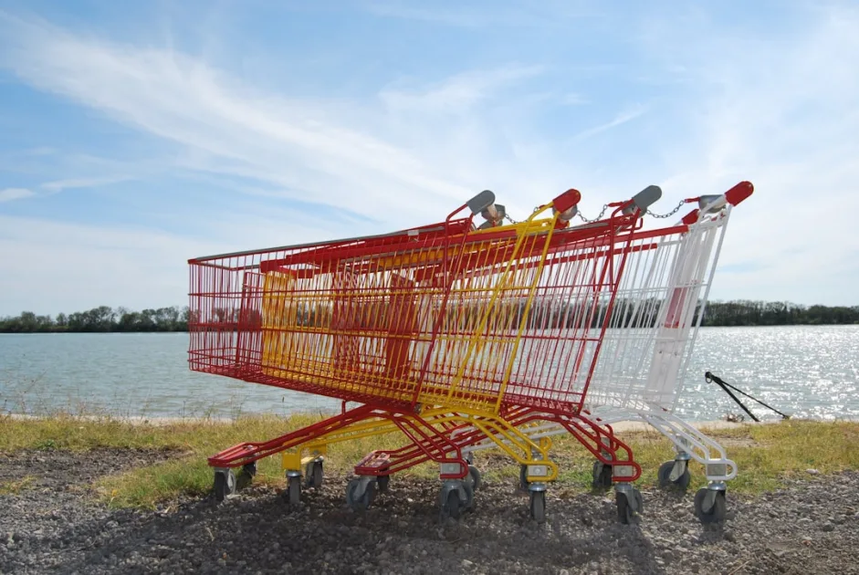 shopping carts on shore during daytime