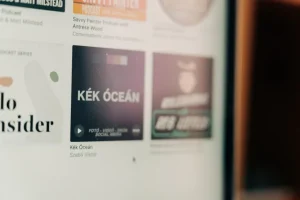 Criterios para elegir tema WordPress con garantías