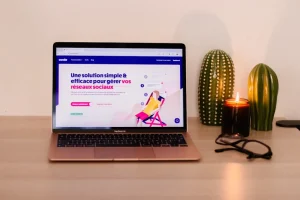 Diferencias entre tema y desarrollo a medida en WordPress