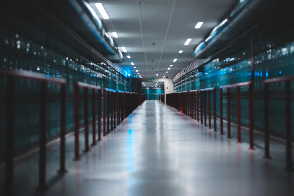 Optimización de base de datos WordPress: guía técnica