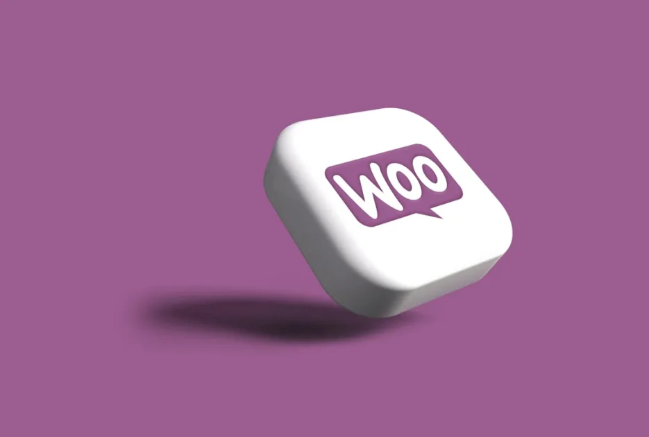 Los plugins WooCommerce más usados explicados por categoría