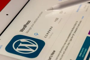 Tipos de taxonomías WordPress explicados con ejemplos