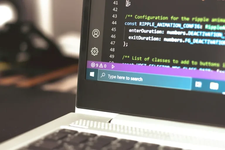 Cómo funciona un plugin personalizado en WordPress