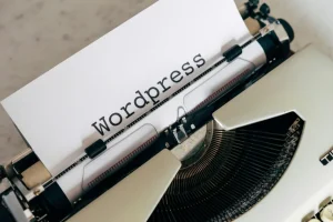 Tipos de hooks WordPress explicados con ejemplos
