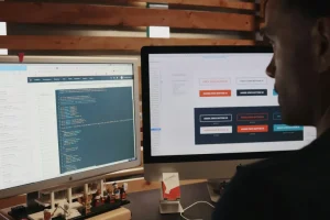 10 Essential Criteria for Choosing a WordPress Theme